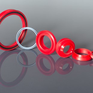PTFE Seal