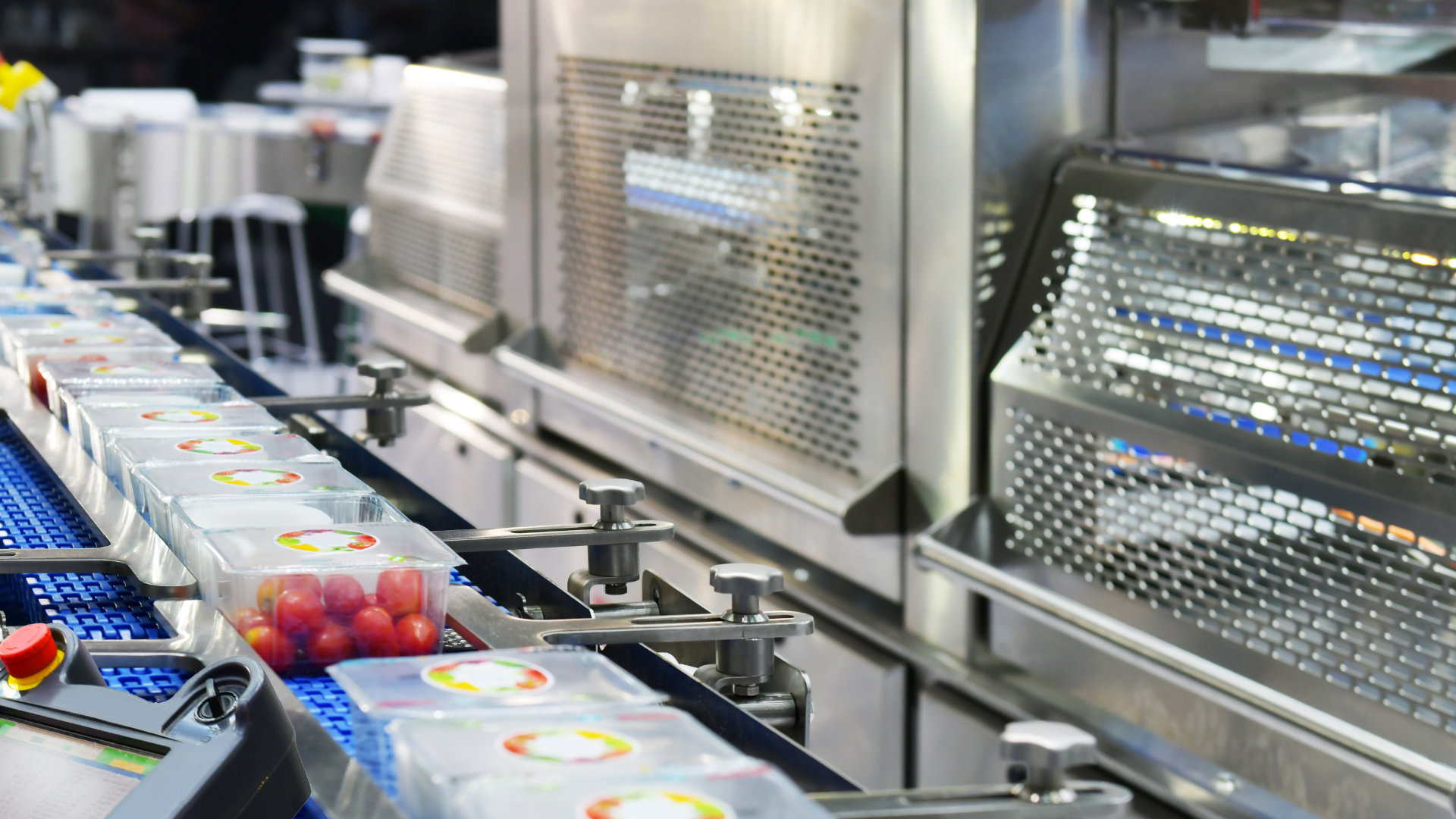 tomatoes being packaged on a machine